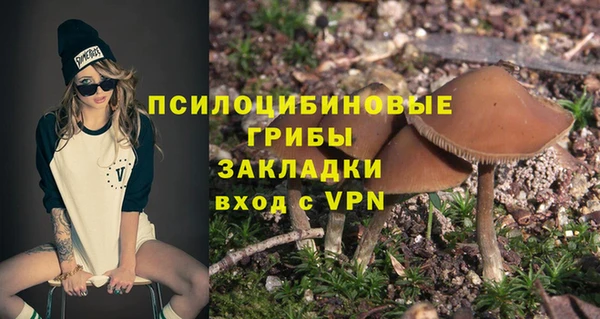 PSILOCYBIN Беломорск