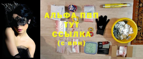 PSILOCYBIN Беломорск