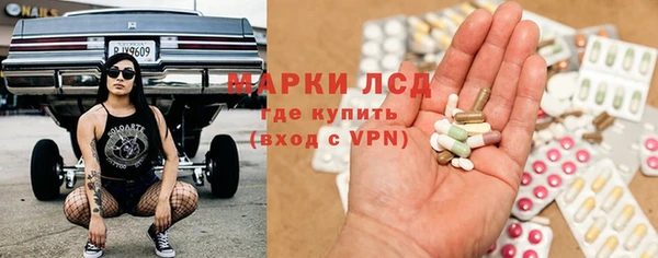 мдпв Богданович
