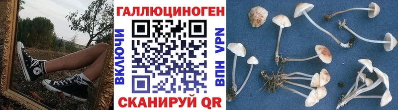 MEGA как войти  Болотное  Псилоцибиновые грибы GOLDEN TEACHER 