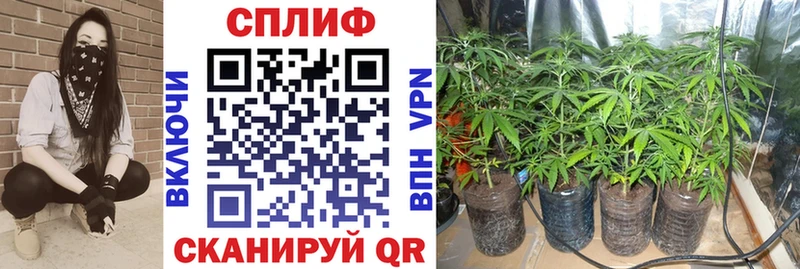 Бошки Шишки сатива где купить Болотное